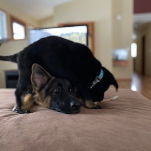 Meet your Posher, Ashley